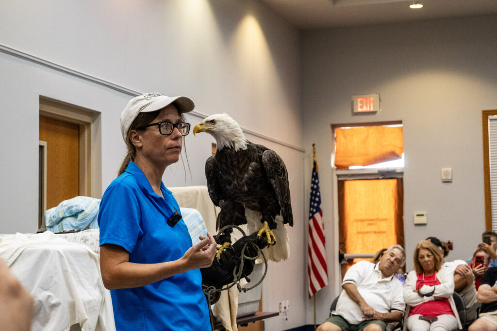 A volunteer from the Avian Reconditioning Center (ARC) holds Max the bald eagle on a gloved hand and speaks to the audience during Wings of Liberty: A Live Raptor Experience at the Leesburg Library.
