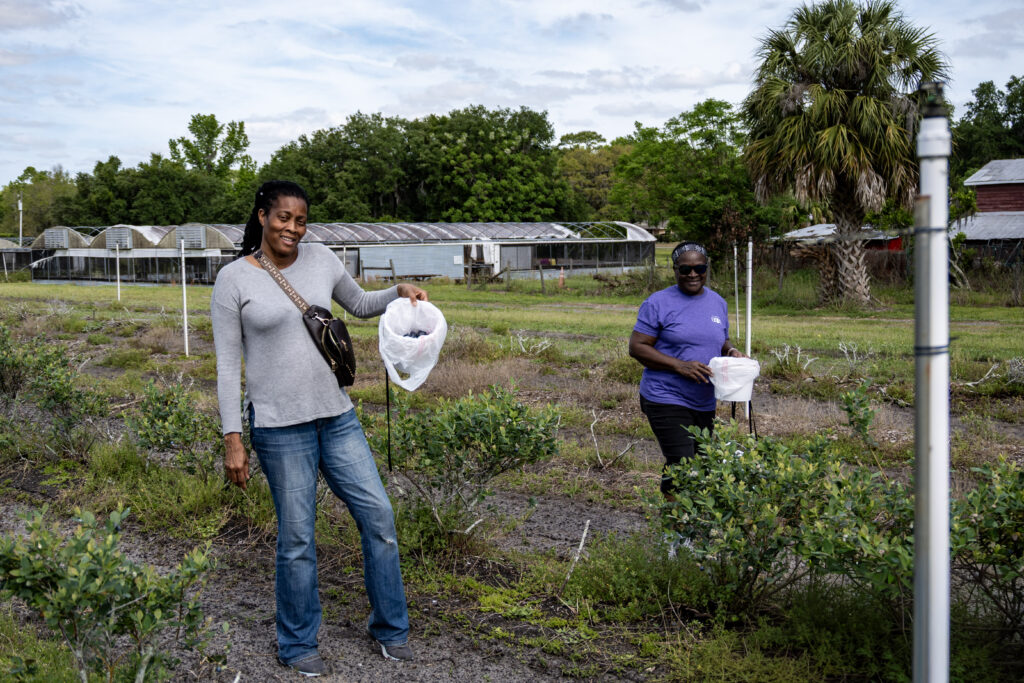 A woman holds up her bucket filled blueberries, while another woman smiles and walks in the background.